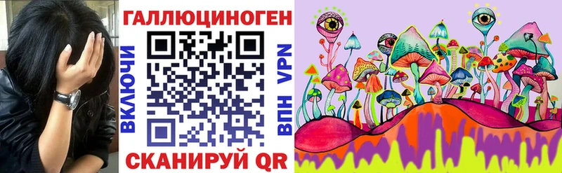 Псилоцибиновые грибы Cubensis  цены наркотик  Судогда 
